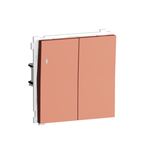 Выключатель двухклавишный встраиваемый проходной Donel R98 с подсветкой Коралл матовый DA03108-DA28545