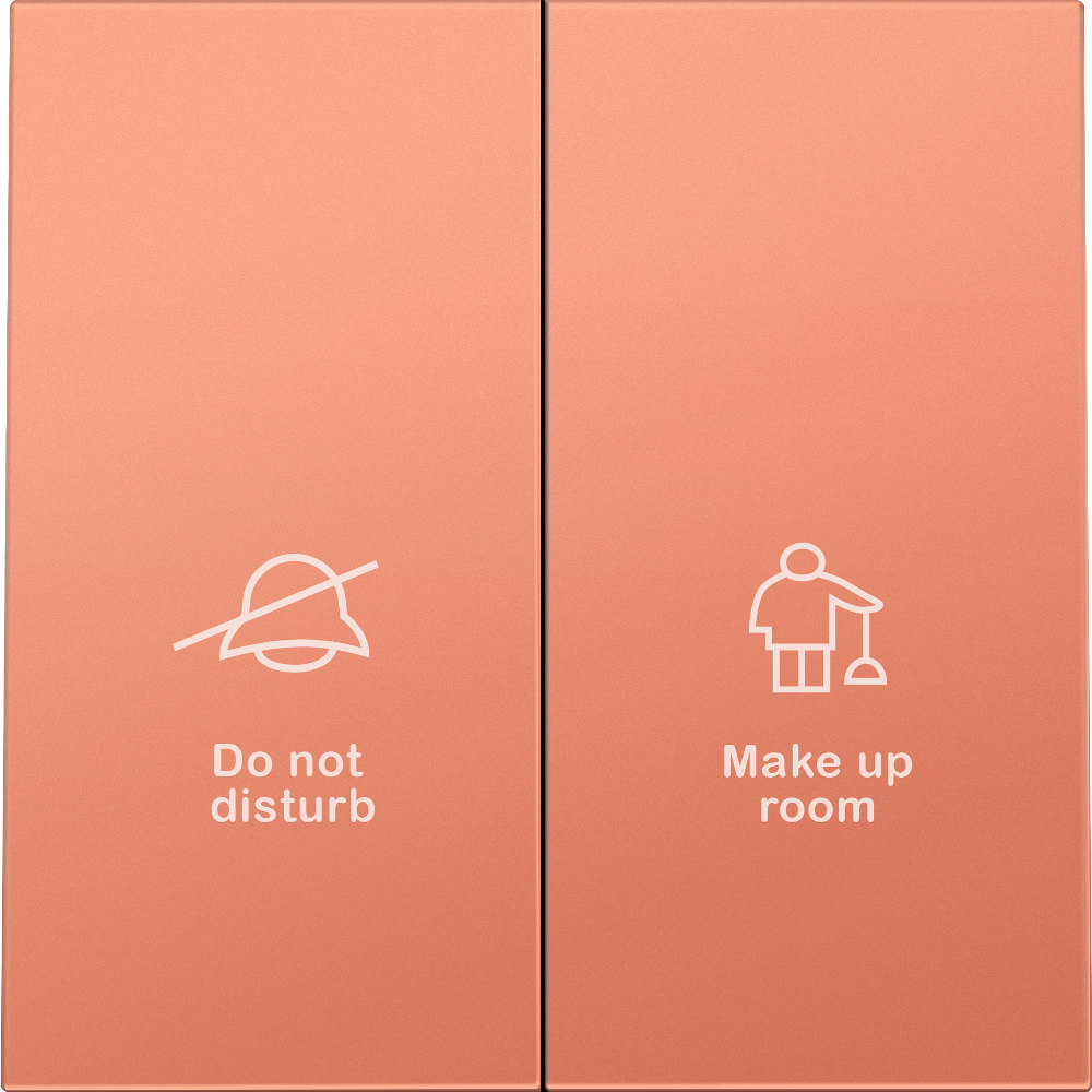 Выключатель двухклавишный встраиваемый Donel R98 с символами DND/MUR Коралл матовый DA25800-DA88845 — изображение 2